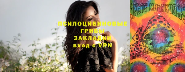 гидропоника Верея