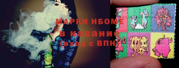 мдпв Туринск