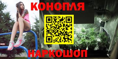дурь Можга